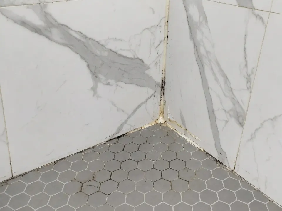 Dirty grout & caulk, before the repair