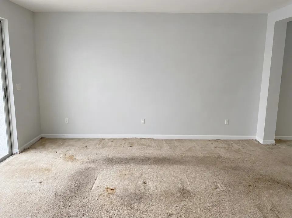 Old carpet to vinyl plank, before the repair